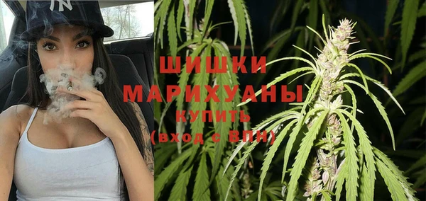 амф Богородицк
