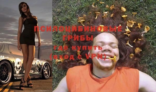 амф Богородицк